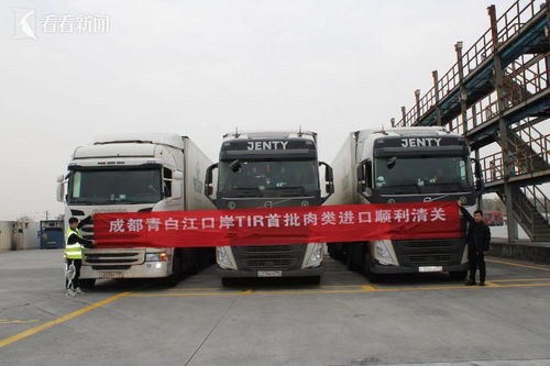 一紙標(biāo)識通四方 探秘公路貨運(yùn)跨境直達(dá)的“通行證”