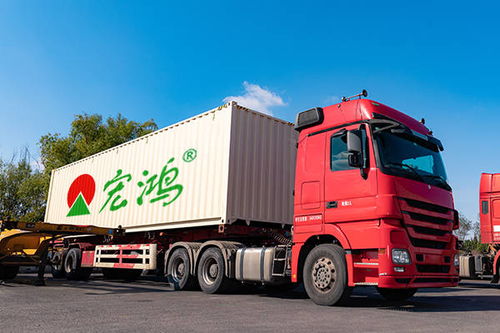 如何經(jīng)營蔬菜批發(fā)與道路普通貨物運(yùn)輸業(yè)務(wù)